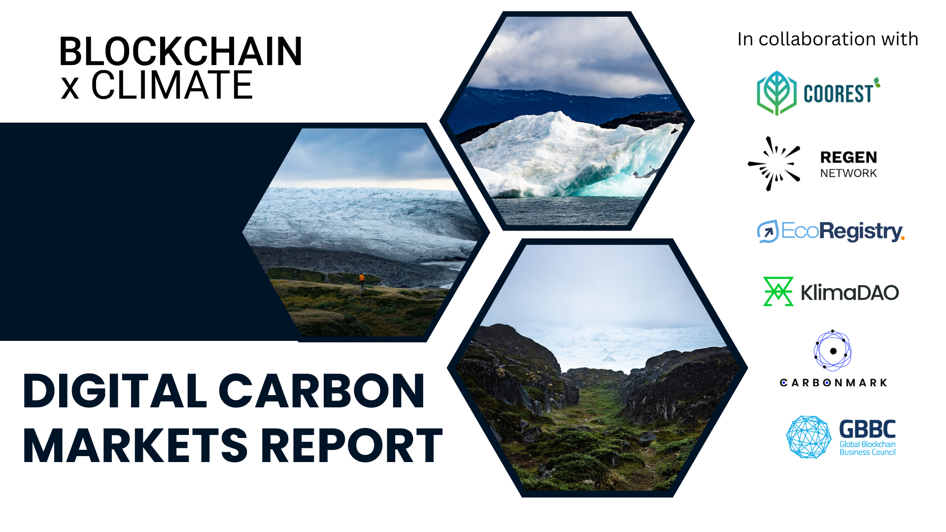 BxC and GBBC Release Digital Carbon Markets Report