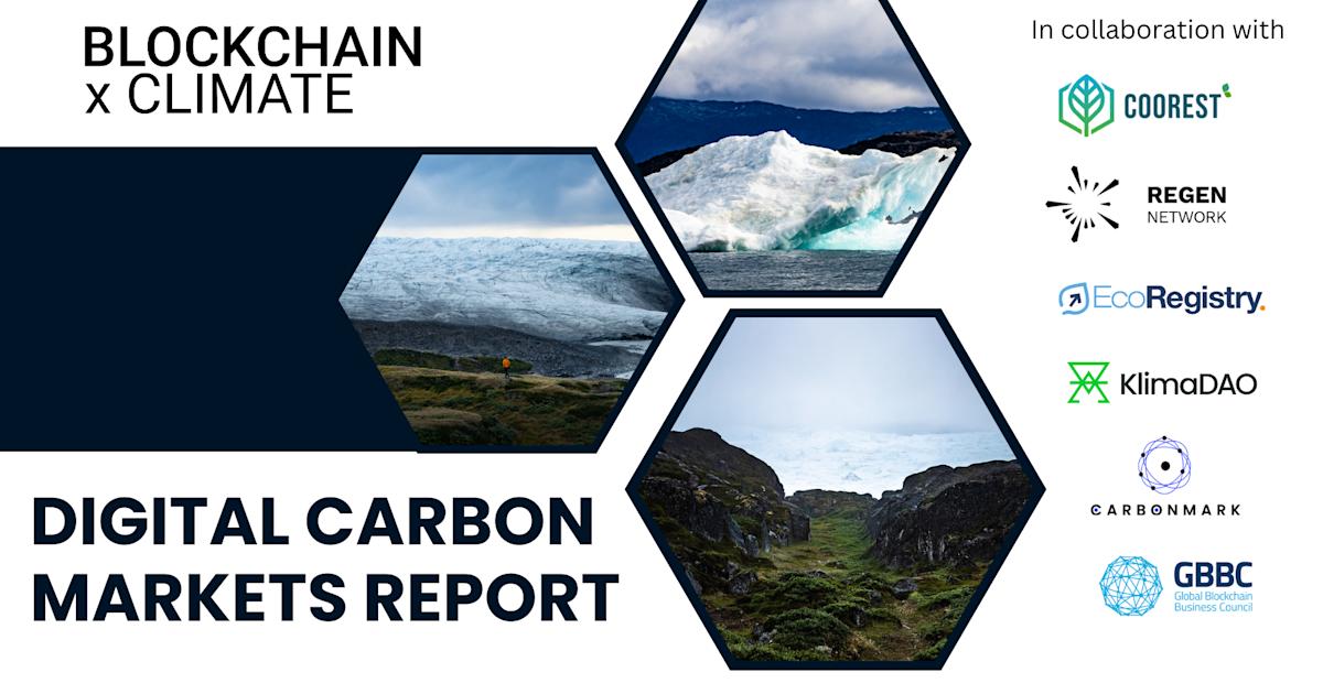 BxC and GBBC Release Digital Carbon Markets Report