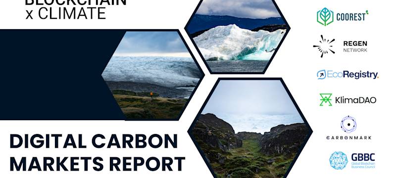BxC and GBBC Release Digital Carbon Markets Report