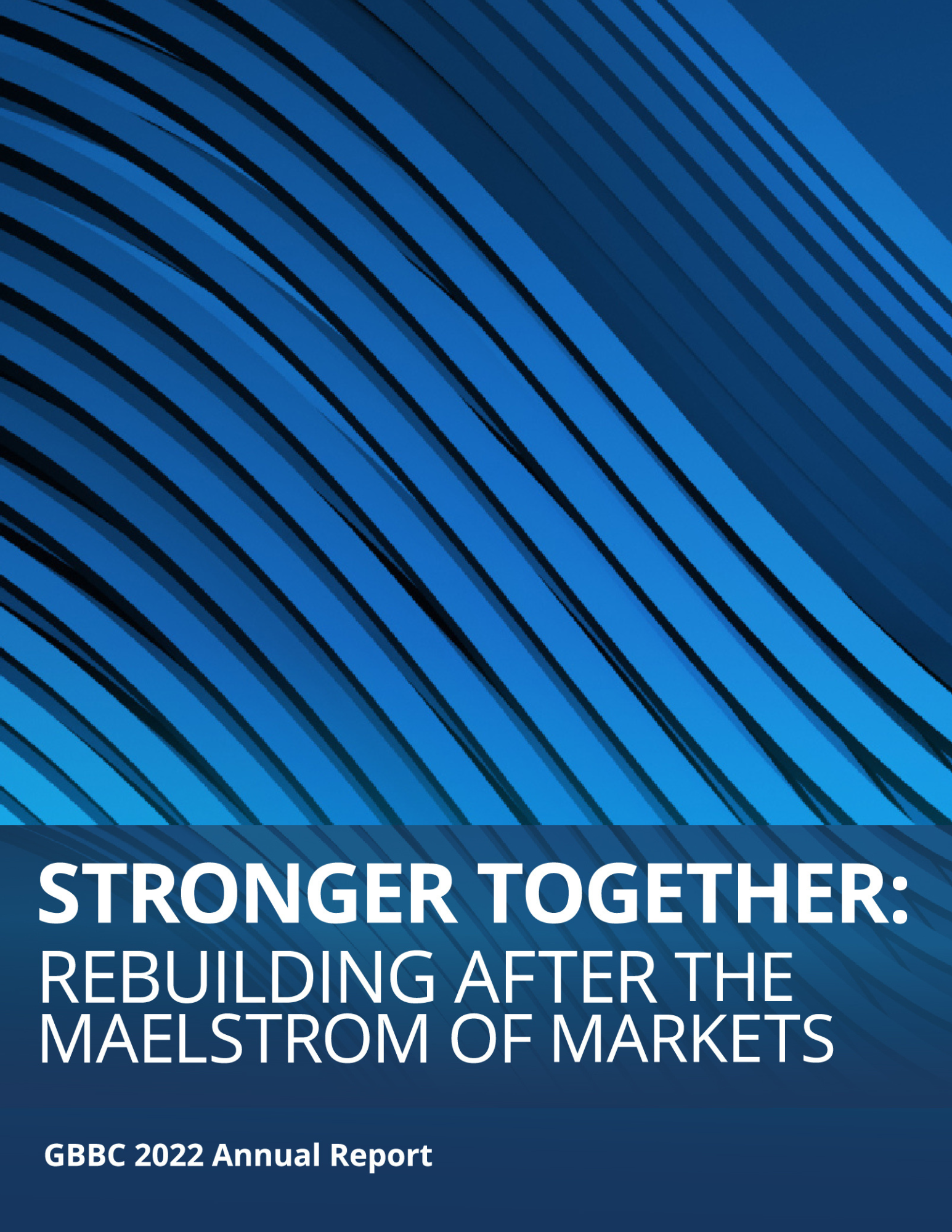 Cover of Stronger Together: Rebuilding after the Maelstrom of Markets