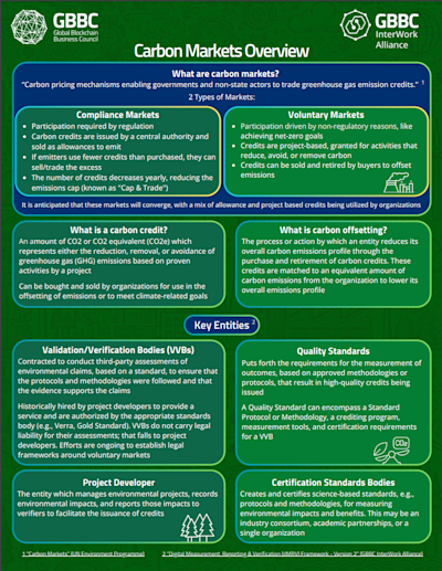 IWA Infographics: Carbon Markets, MRV, & dMRV cover