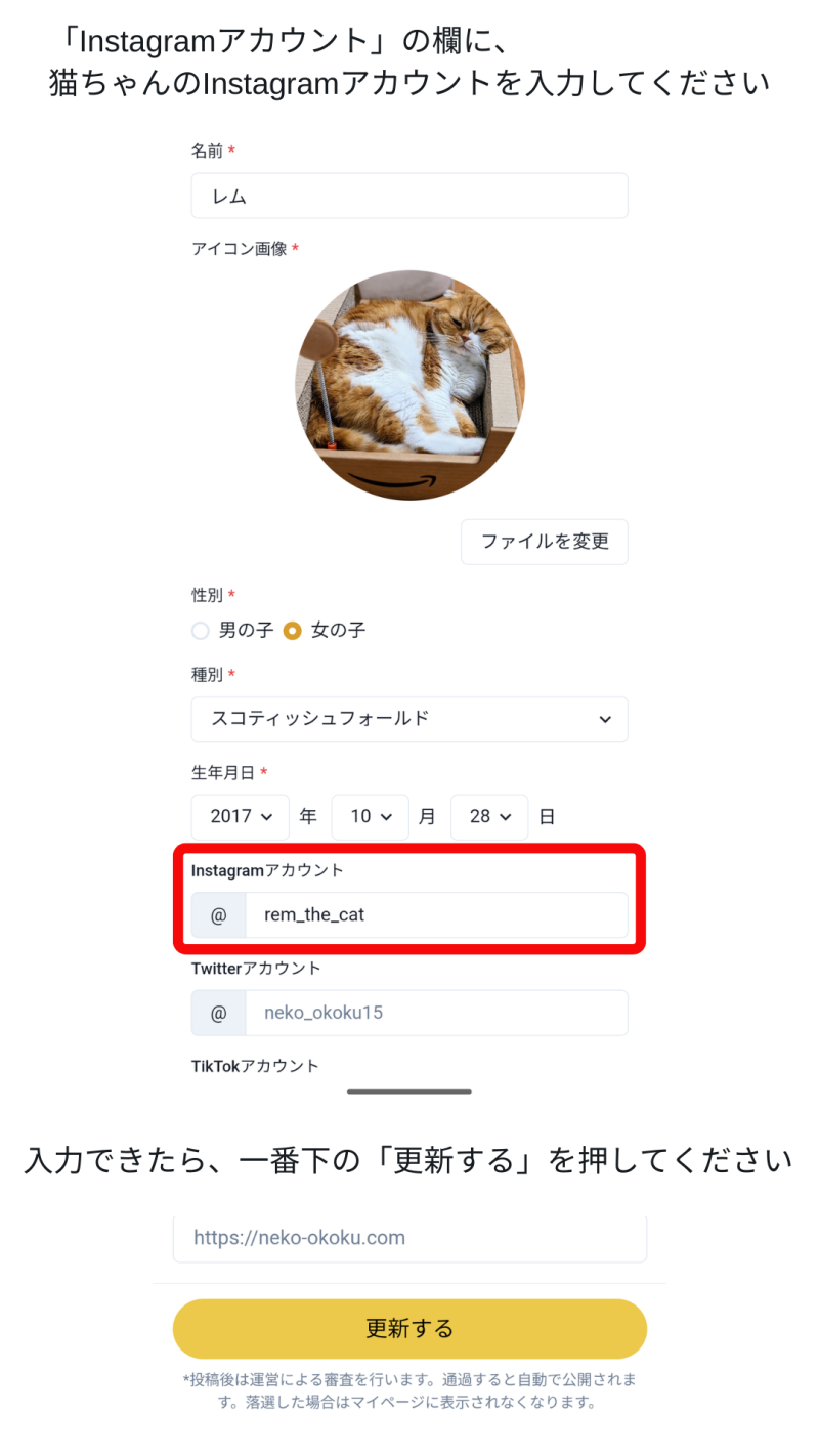 猫王国_猫ちゃんのプロフィールにInstagramを登録する2