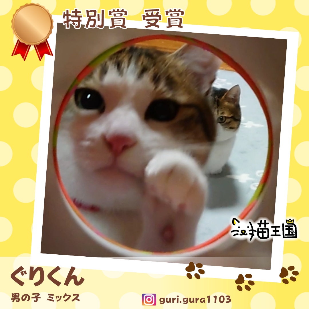 特別賞:ぐりくん