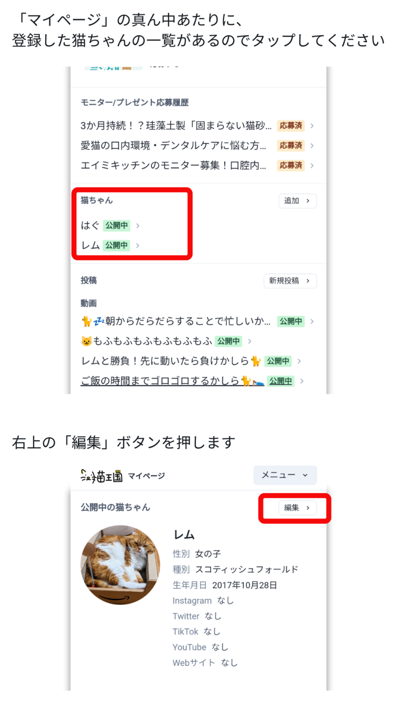 猫王国_猫ちゃんのプロフィールにInstagramを登録する1