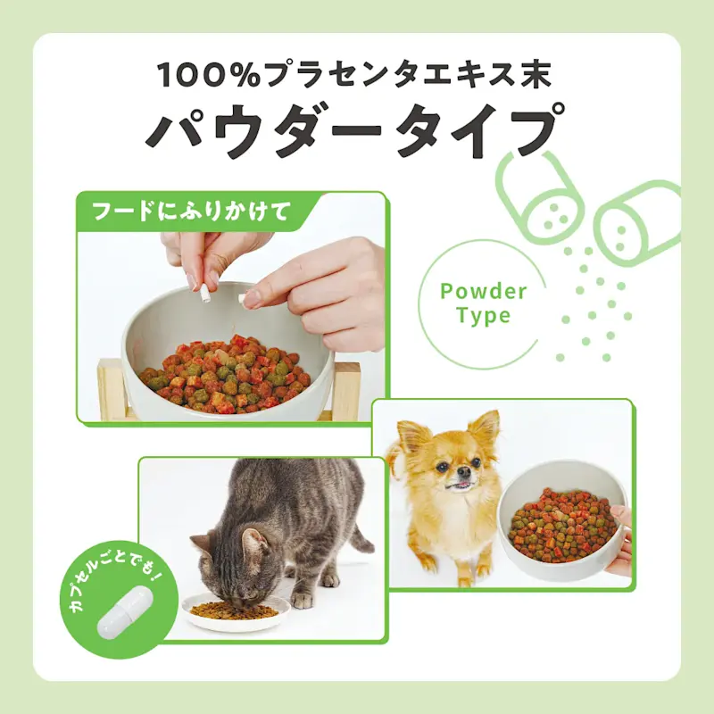 JBPET banner Powder 25 0327 01