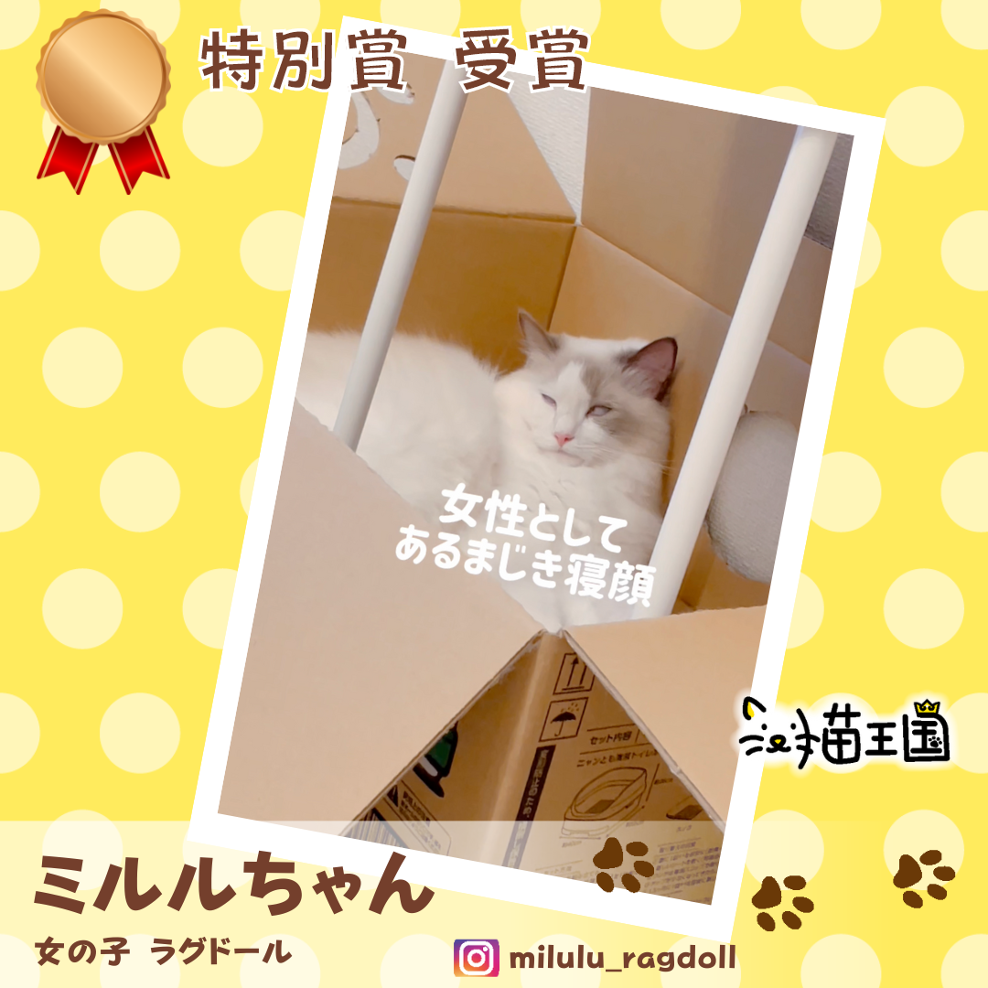 特別賞:ミルルちゃん