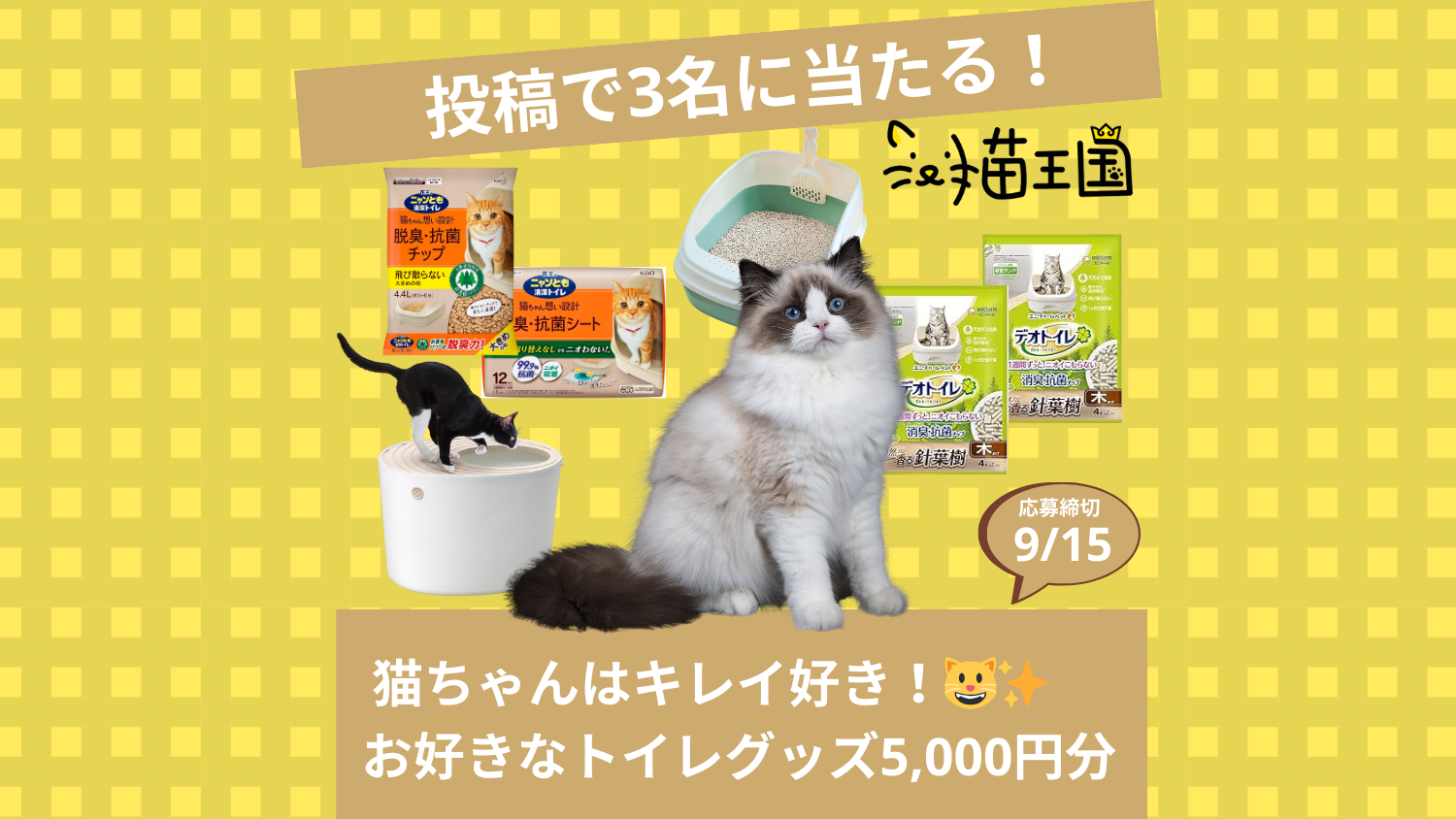 【猫王国への投稿で当たる📸】お好きな猫ちゃんトイレグッズ5,000円分😸✨