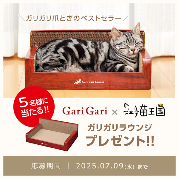 【GariGariラウンジが当たる📸】Instagram投稿キャンペーン開催中!