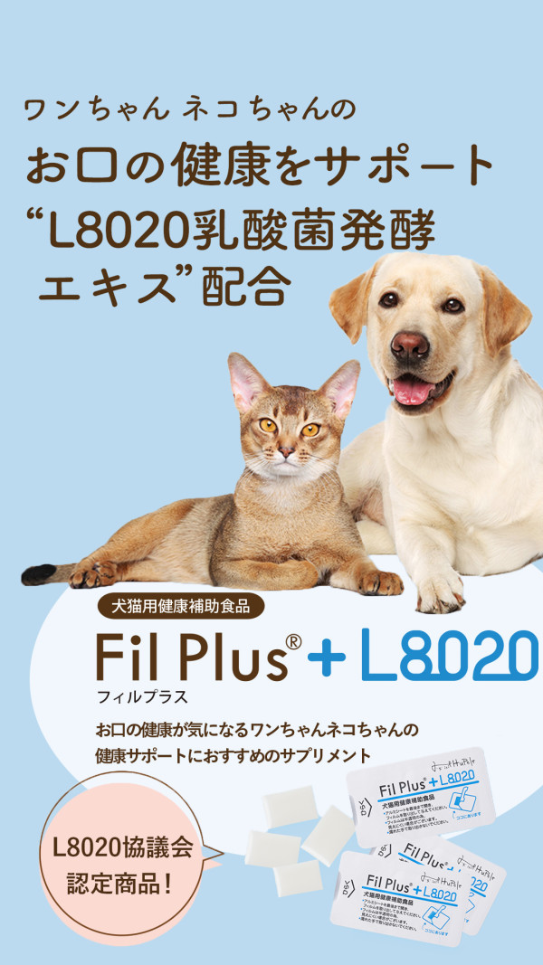 ネコちゃんのお口の健康をサポート！Fil Plus®+L8020（フィルプラス）の無料モニターを募集します！