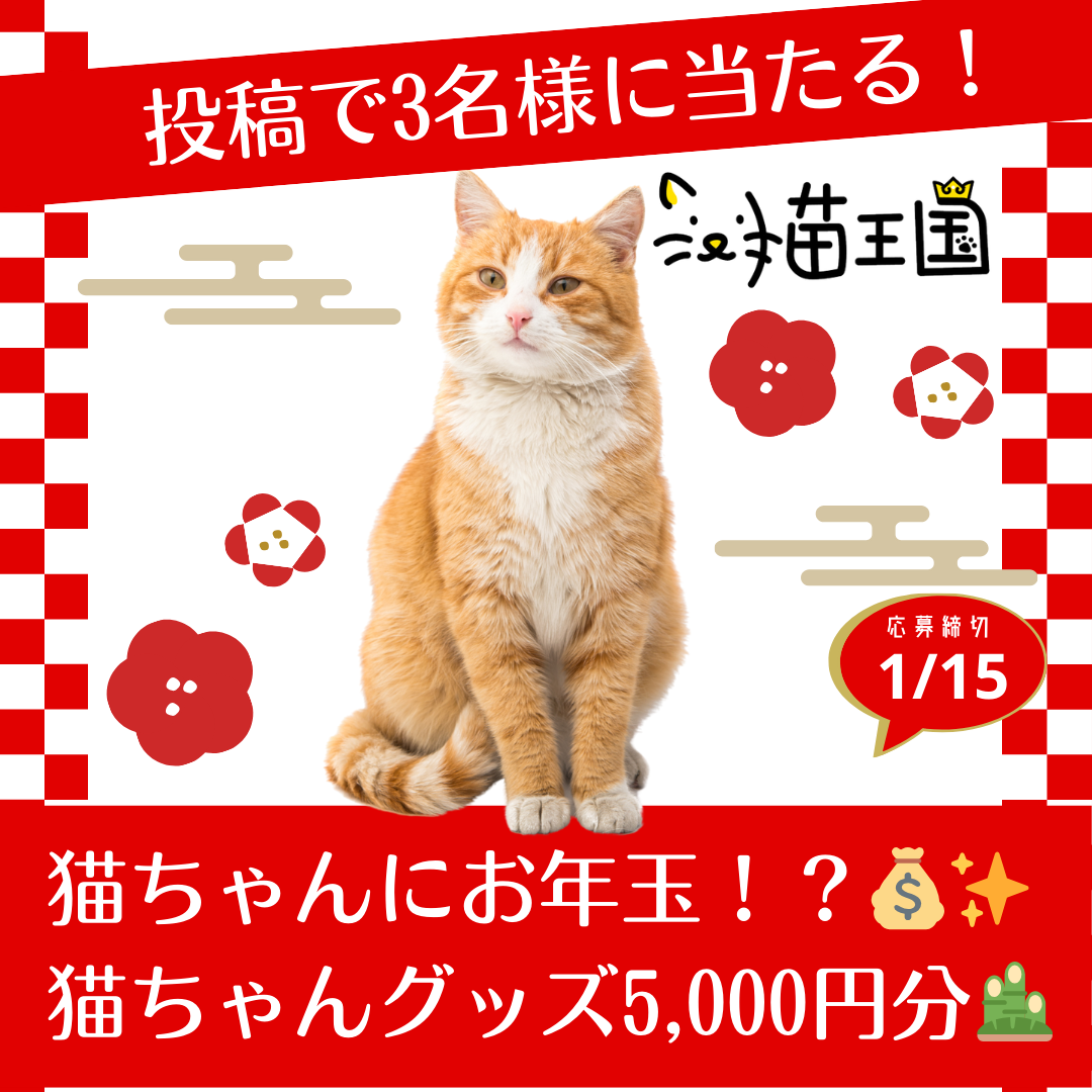 【猫王国への投稿で当たる📸】猫ちゃんにお年玉！？💰️✨️お好きな猫ちゃんグッズ5,000円分🐈💓