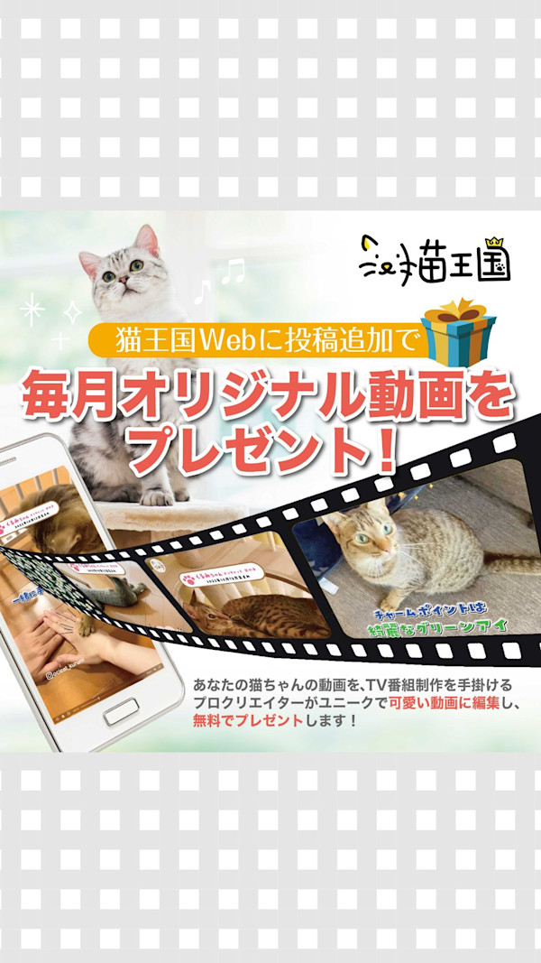猫王国に投稿でプロクオリティの「愛猫ちゃんのオリジナル動画」をプレゼント!🐾
