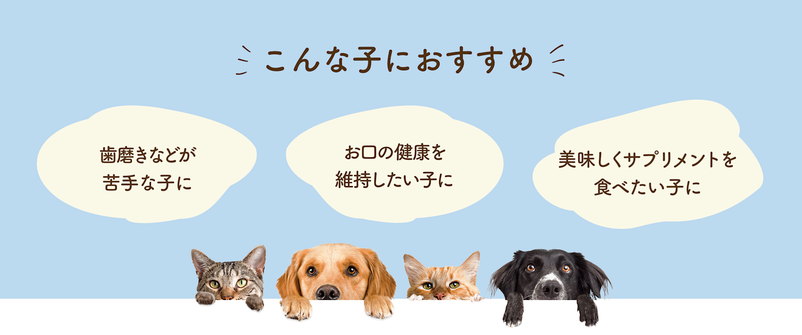 ミヤリサン製薬株式会社_Fil Plus®+L8020(フィルプラス)はこんな子におすすめ