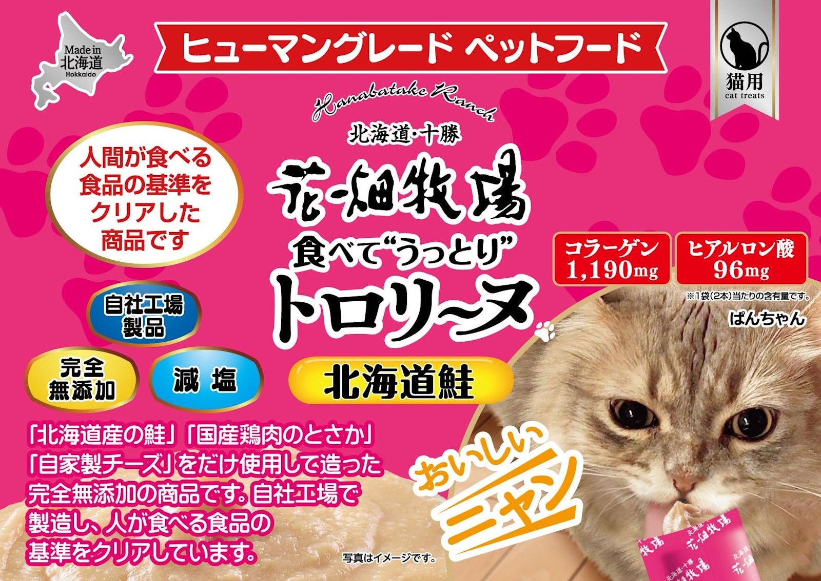 花畑牧場 猫用トロリーヌ
