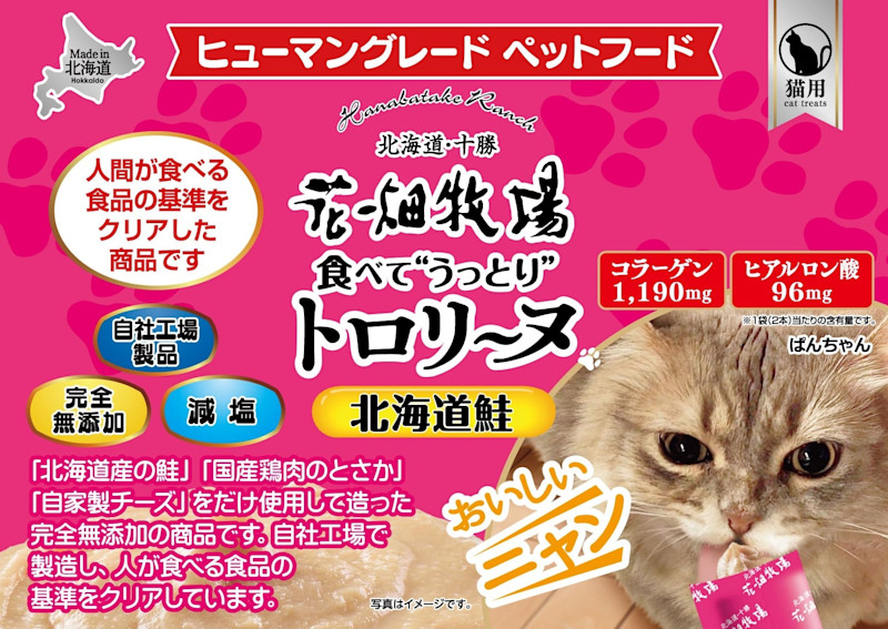 花畑牧場 猫用トロリーヌ
