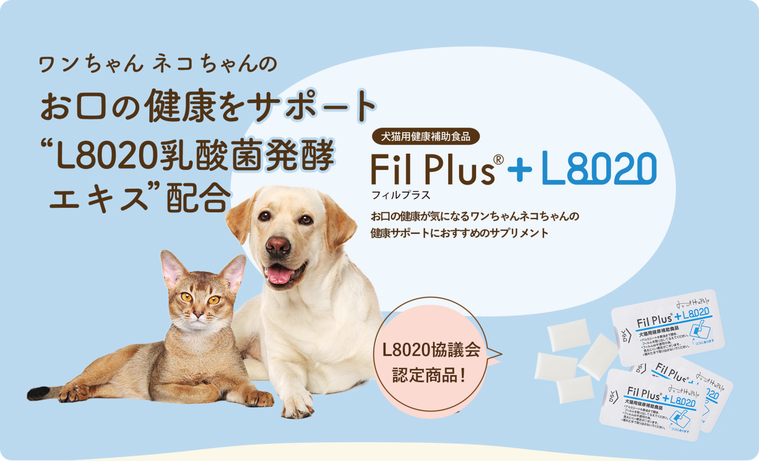 ネコちゃんのお口の健康をサポート！Fil Plus®+L8020（フィルプラス）の無料モニターを募集します！