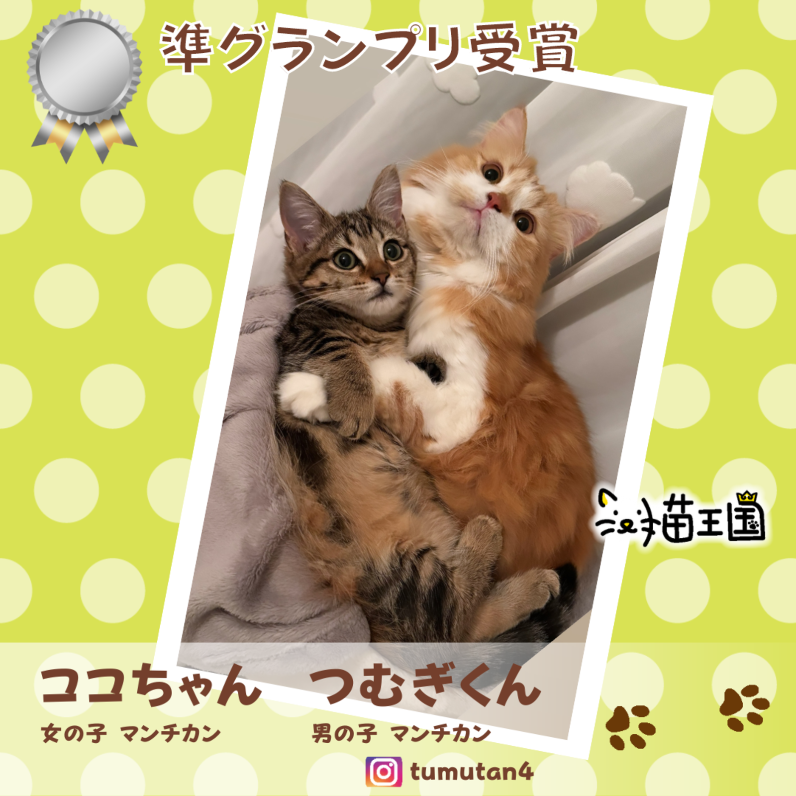 準グランプリ:ココちゃんつむぎくん