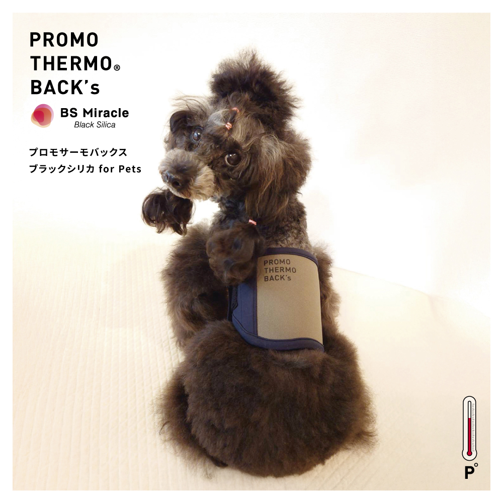 今話題の“リカバリーウェア”発想！天然鉱石ブラックシリカ使用・遠赤外線の心地よいぬくもり「PROMO THERMO BACK’s」無料モニター募集