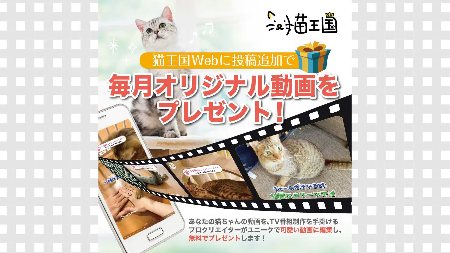 猫王国に投稿でプロクオリティの「愛猫ちゃんのオリジナル動画」をプレゼント！🐾 