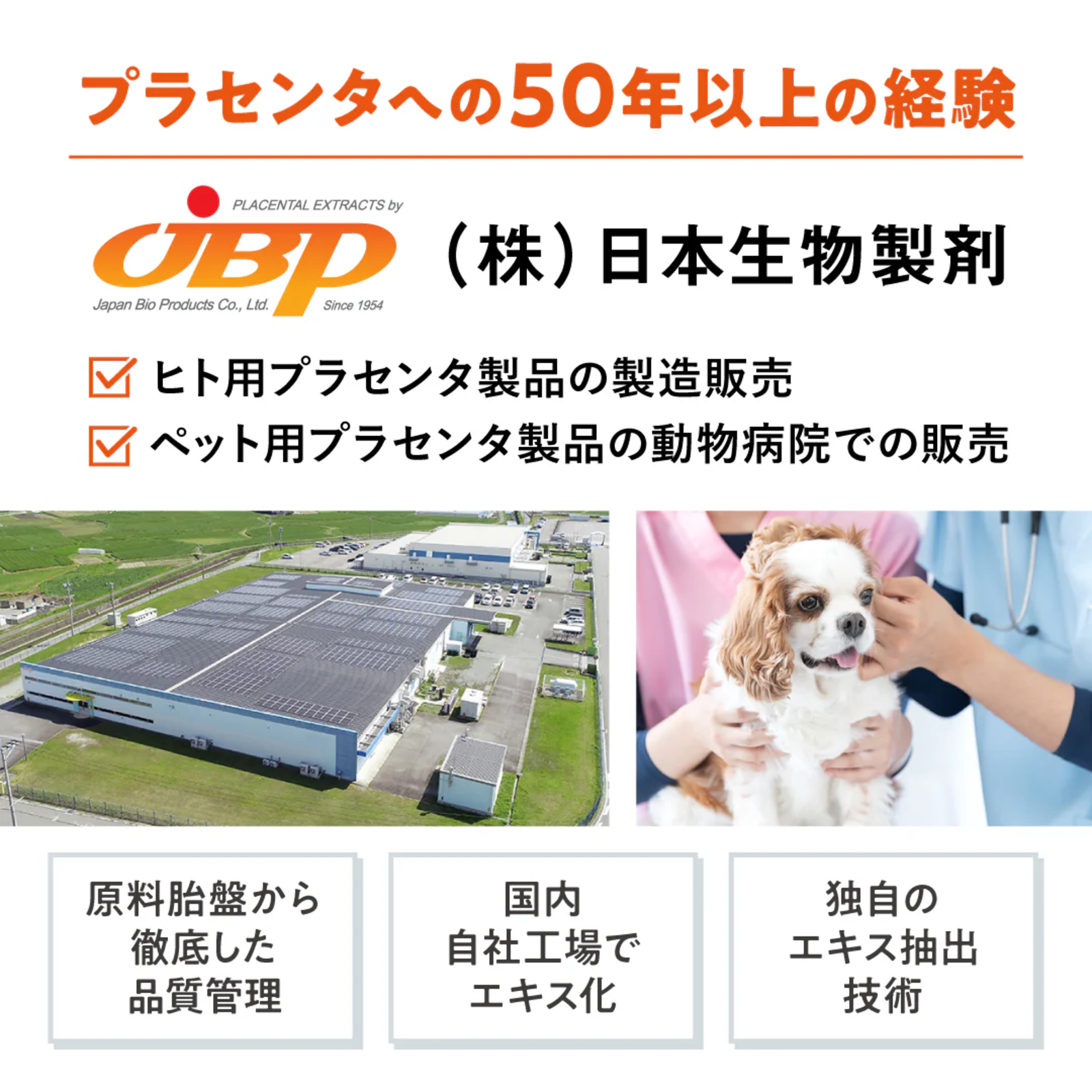 JBPET_banner_25_0226_04