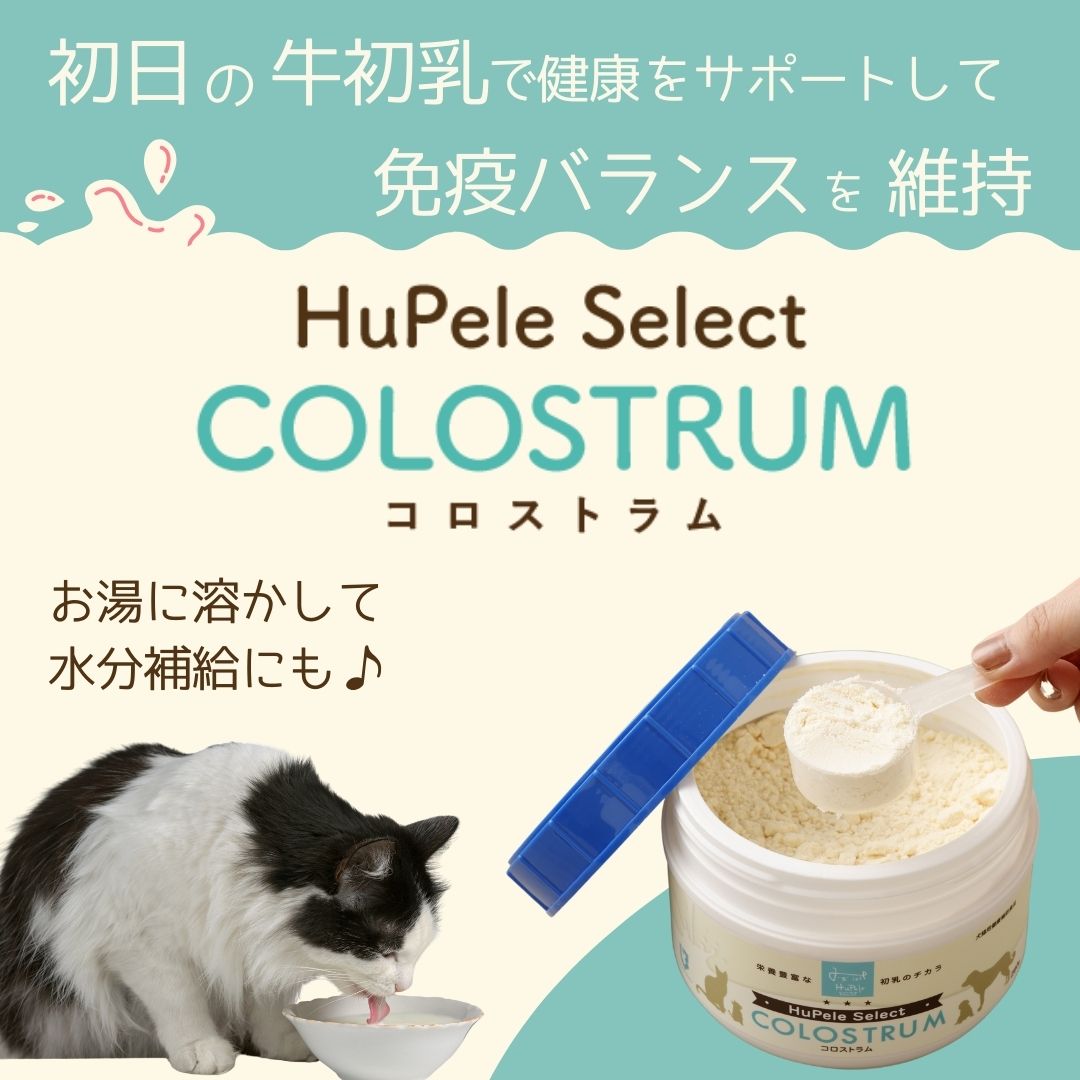 初乳サプリメント「HuPele Select COLOSTRUM（ヒューペルセレクト コロストラム）」