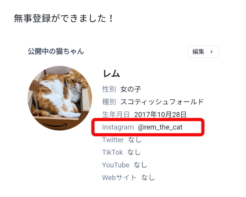 猫王国_猫ちゃんのプロフィールにInstagramを登録する3