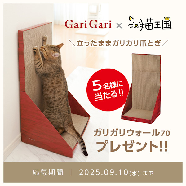 【GariGari】ガリガリウォール70が当たる🎁Instagram投稿キャンペーン開催中！ 