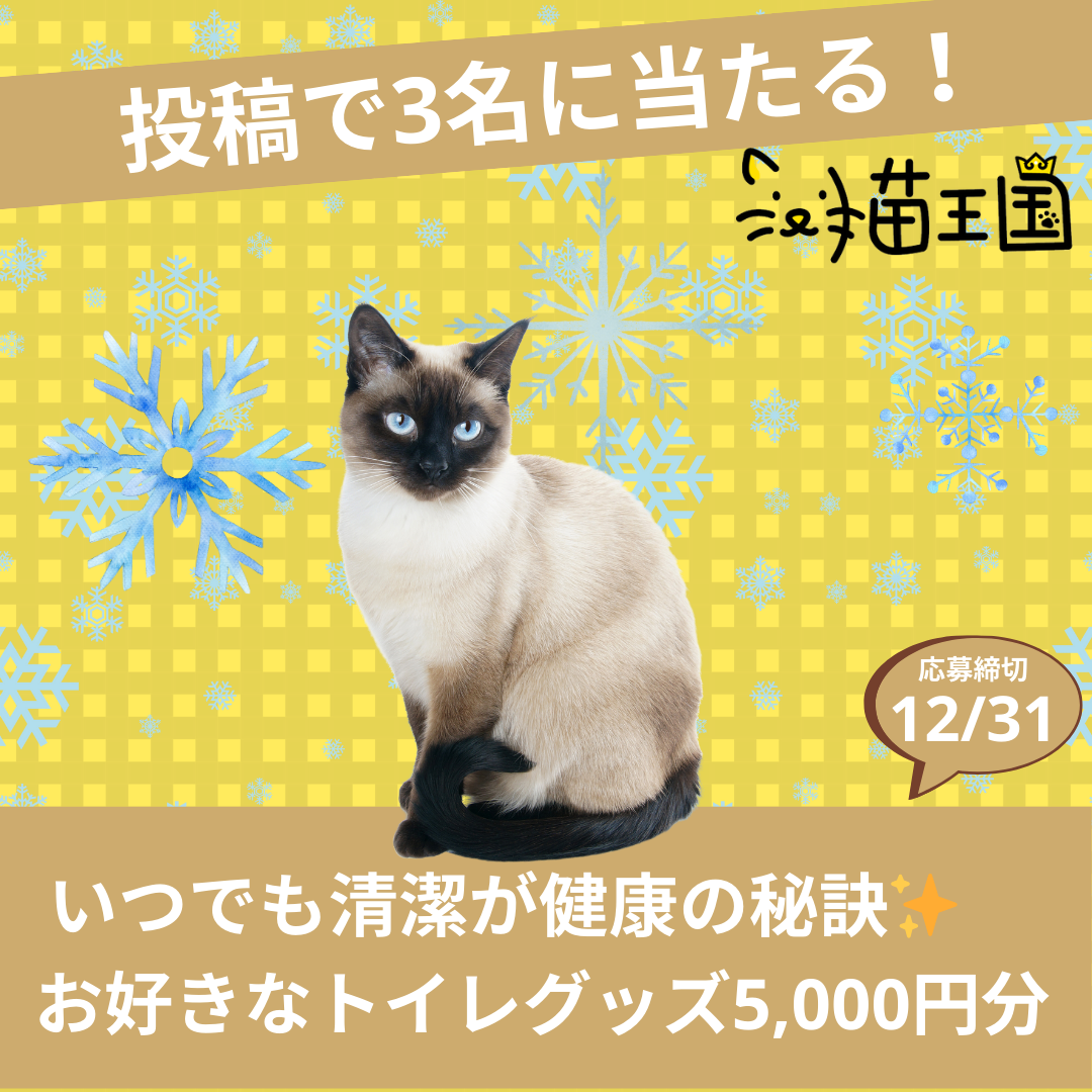 【猫王国への投稿で当たる📸】来年も元気でいようね😺✨️お好きなトイレグッズ5,000円分🚽