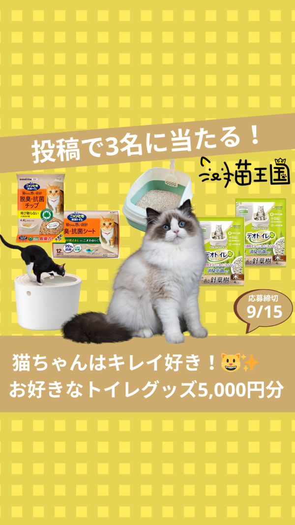 【猫王国への投稿で当たる📸】お好きな猫ちゃんトイレグッズ5,000円分😸✨