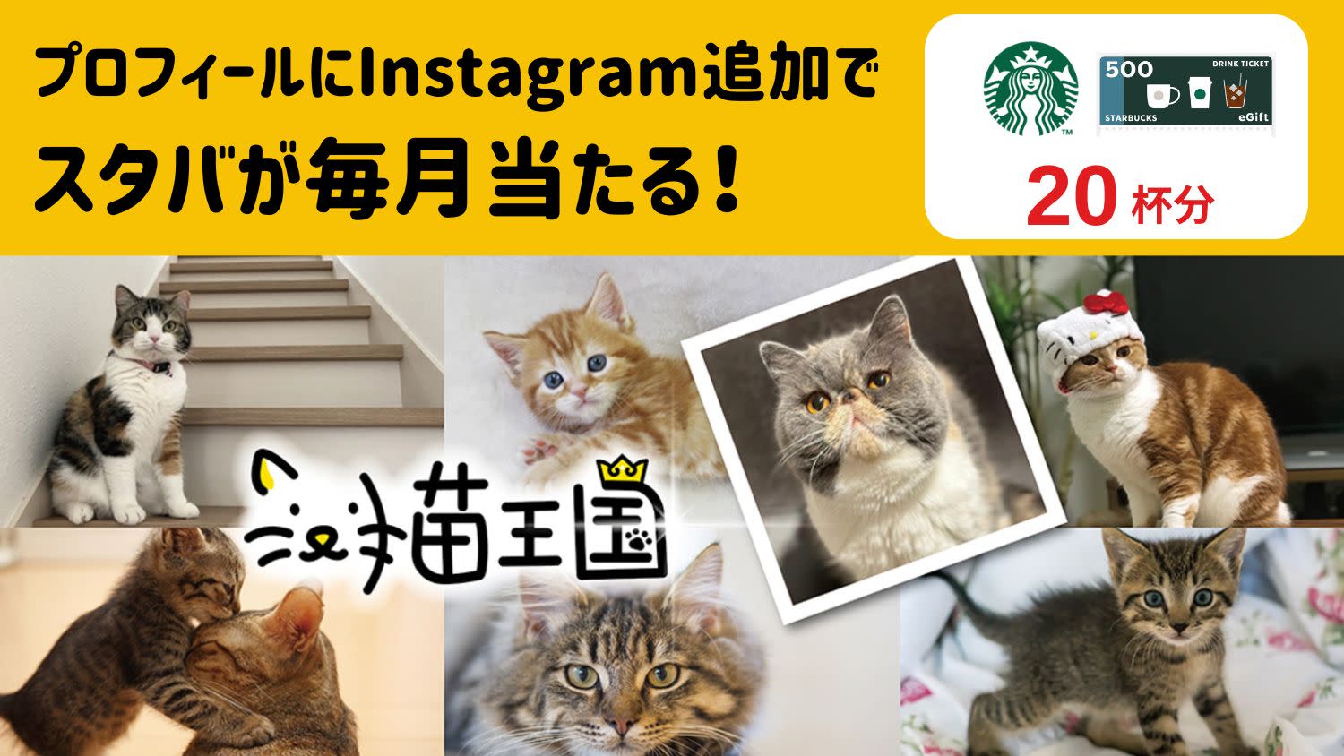 簡単1分！Instagram登録で当たる！スターバックス20杯分チケット☕😻