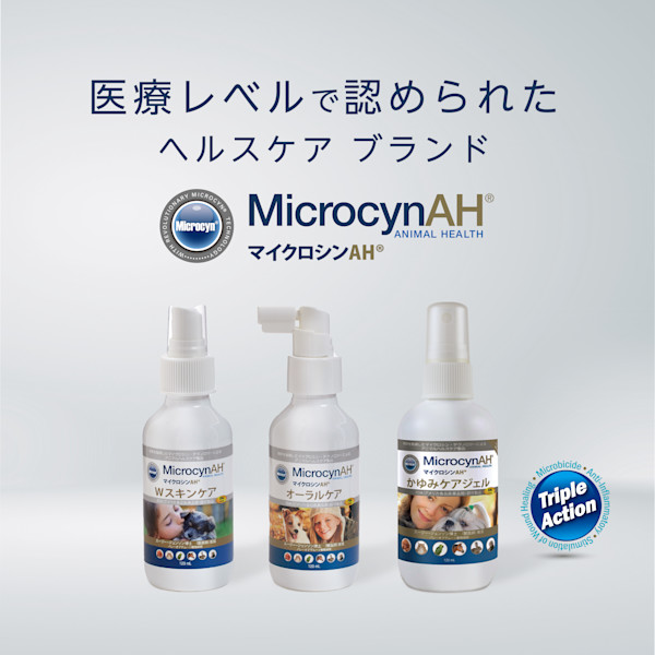 愛猫の日常の口内ケアに!マイクロシンAH®オーラルケアのモニター募集!