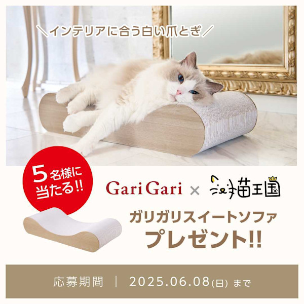 【GariGariスイートソファが当たる📸】Instagram投稿キャンペーン開催中!