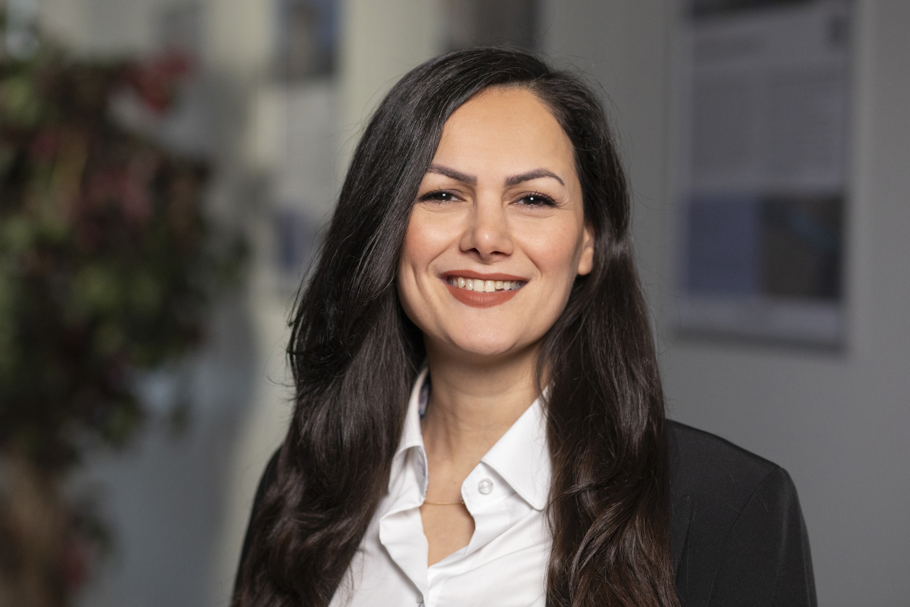 Mandana - Software Consultant