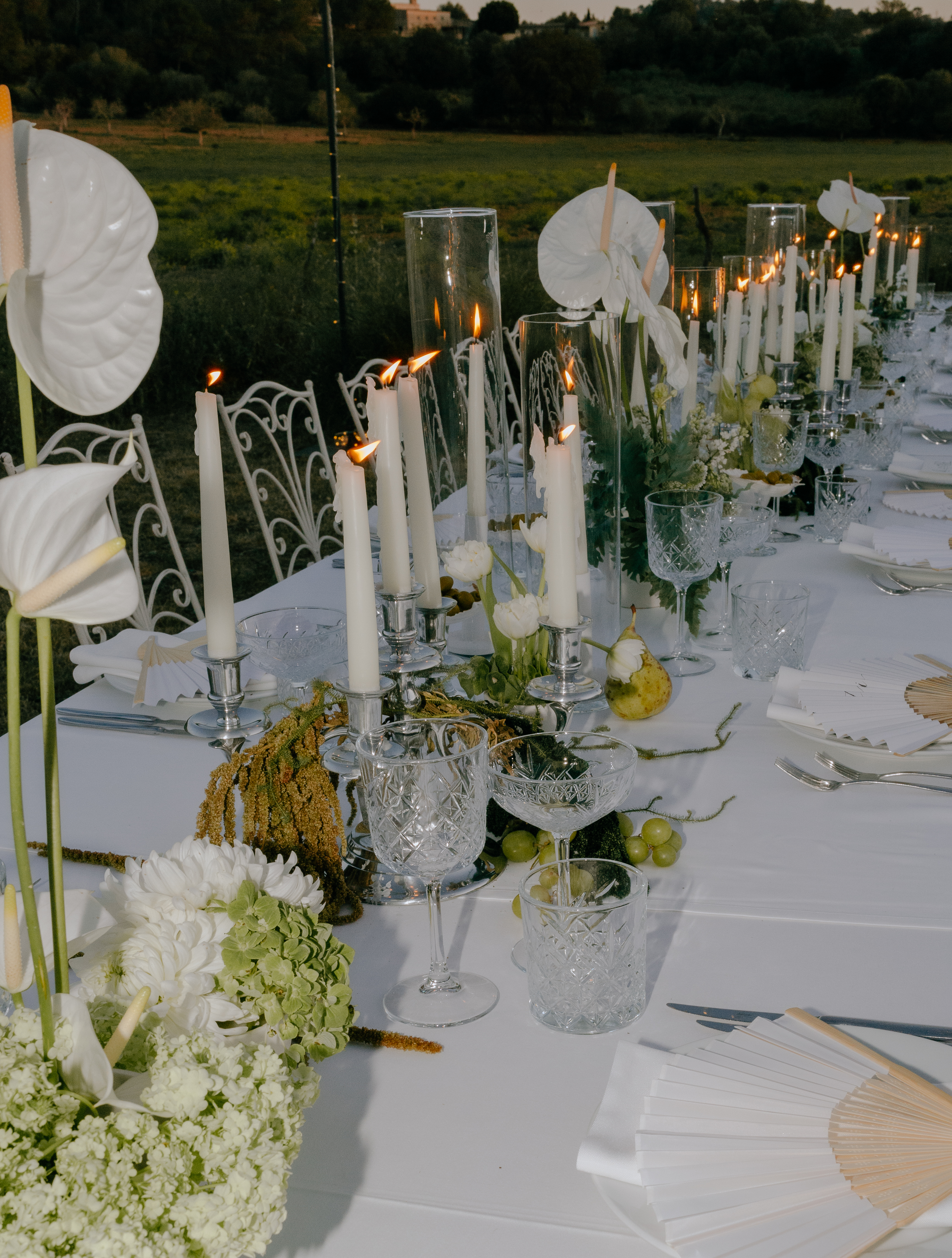 EOS 5D Mark III 6378