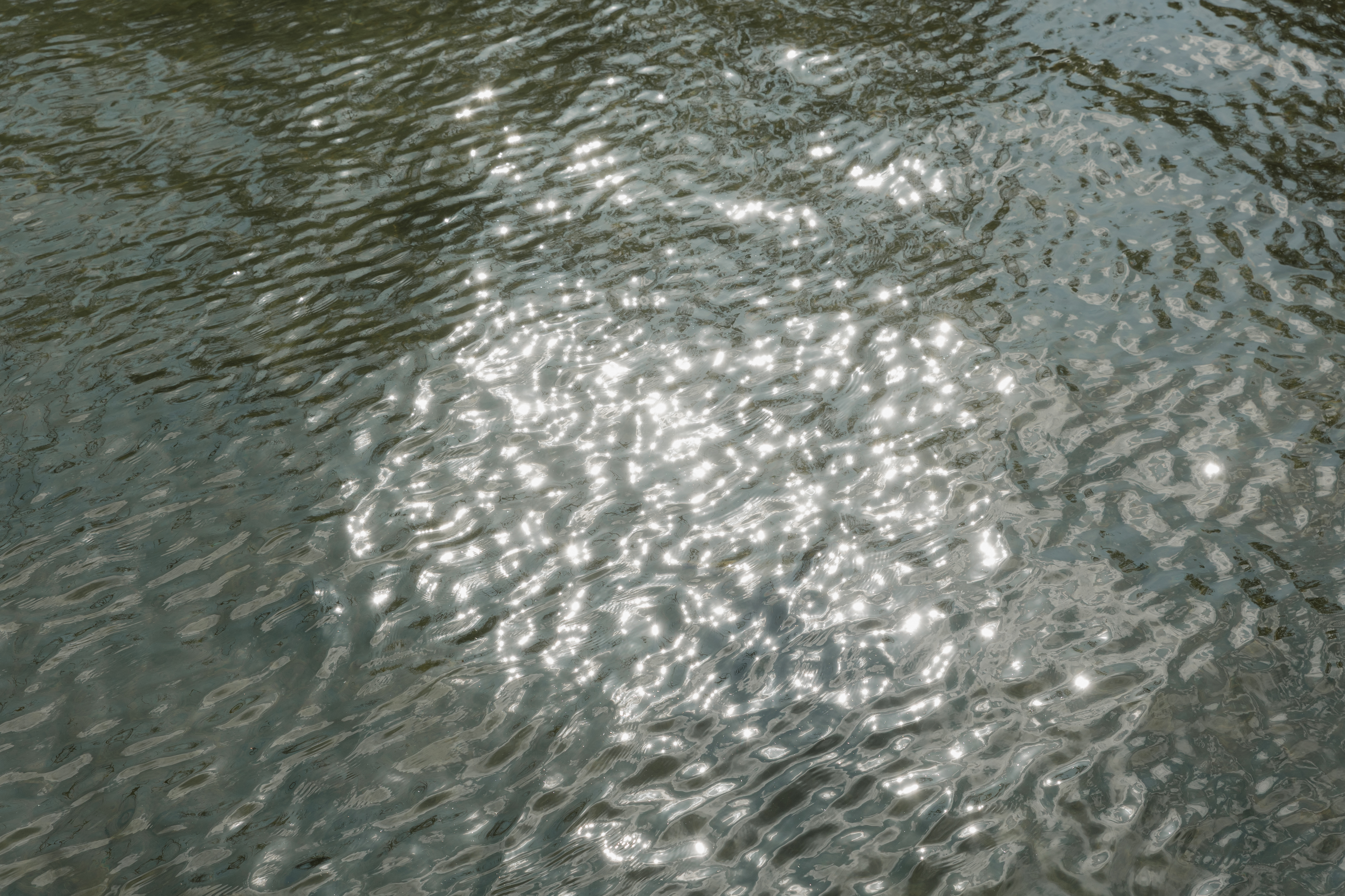 2nd Shooter Chiemsee-33