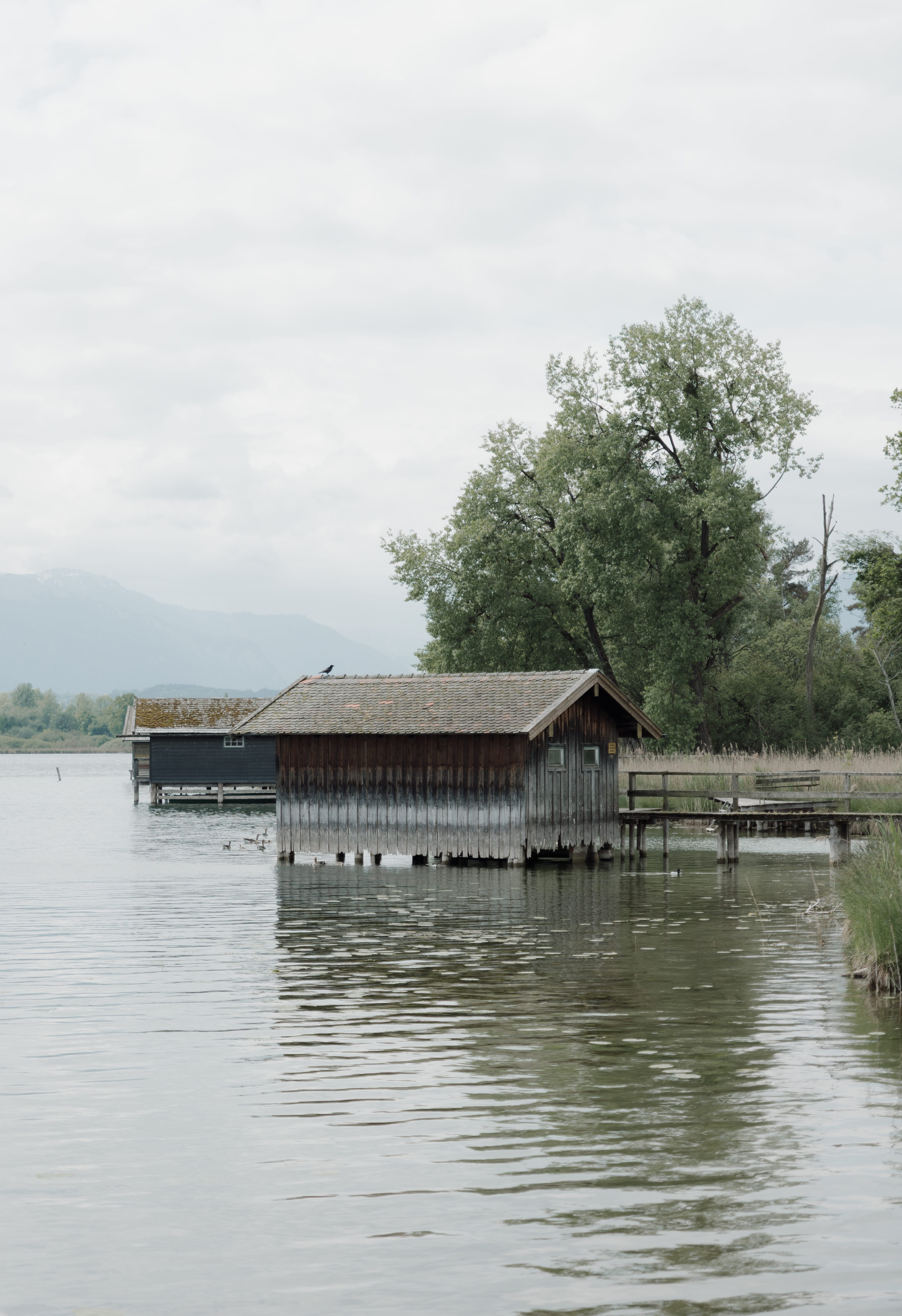 2nd Shooter Chiemsee-1