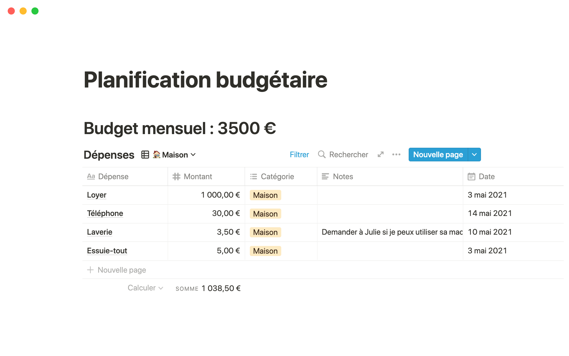 Planificateur de budget mensuel /livre de dépenses/ tenir son budget  mensuel (French Edition)
