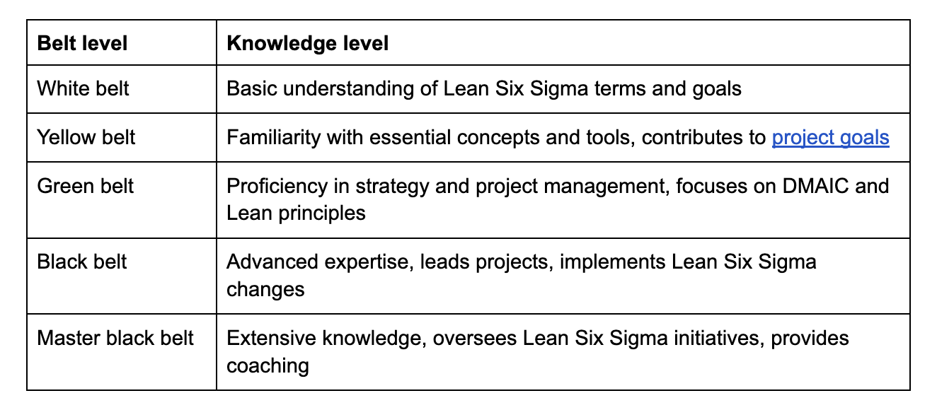 Levels of outlet lean six sigma