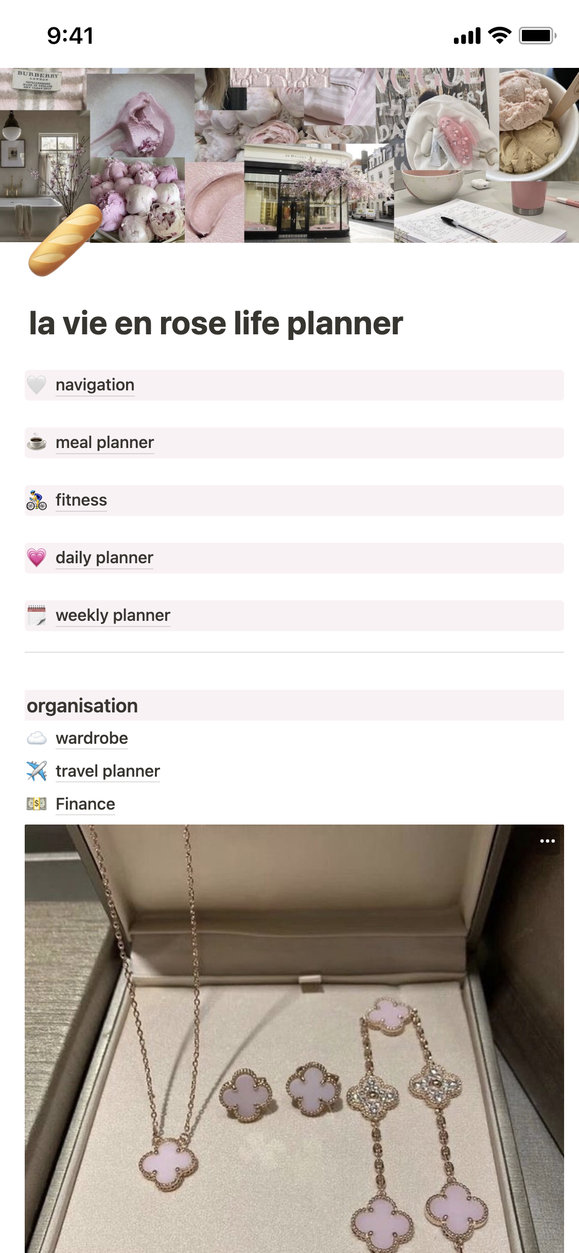 pink pilate princess life planner