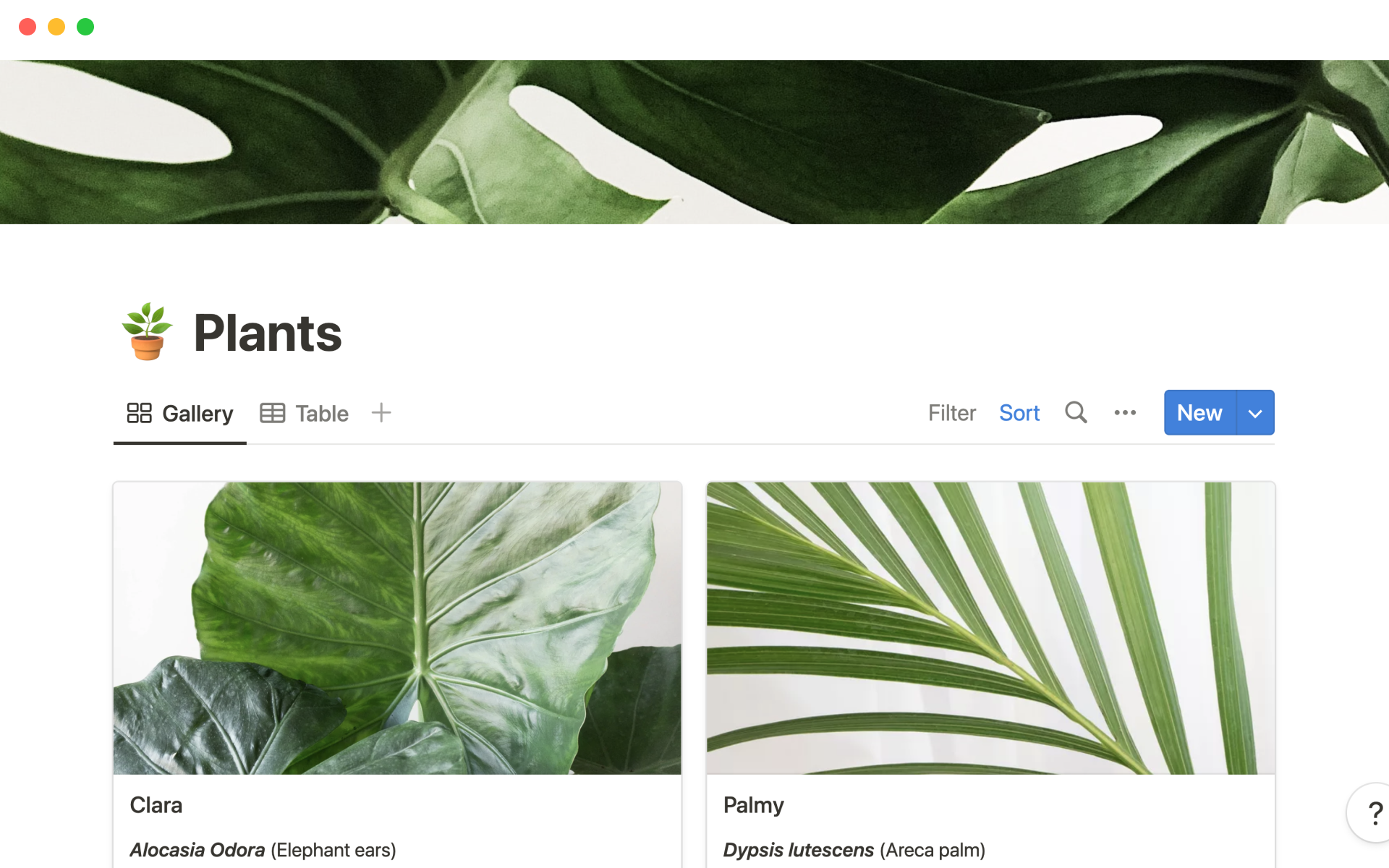 Notion Template Gallery Plant inventory