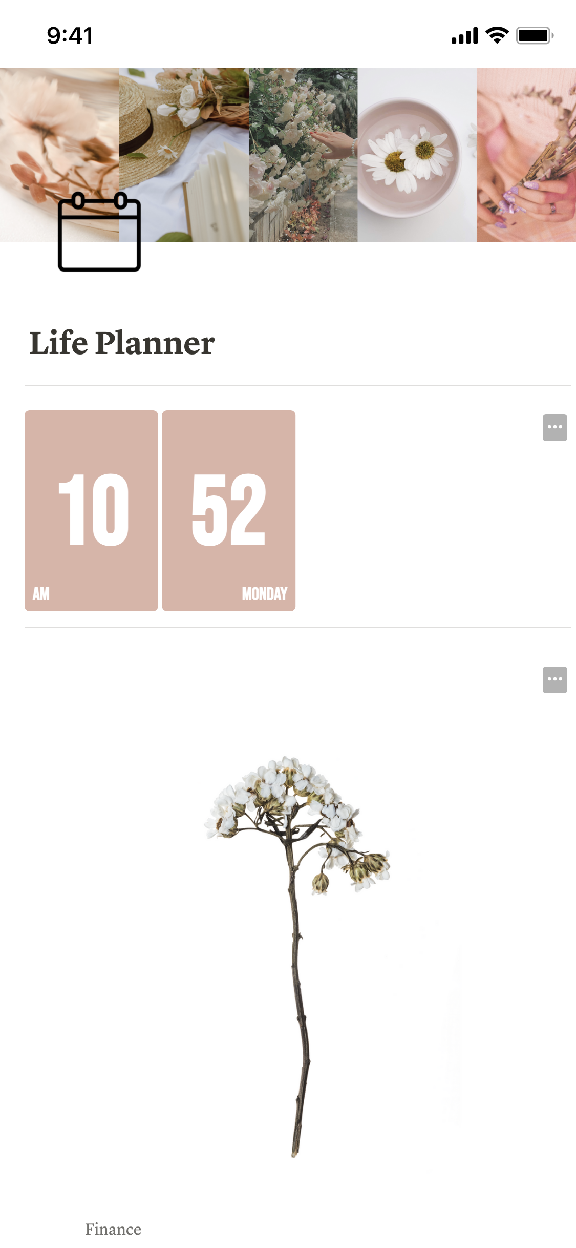 All in One Life Planner