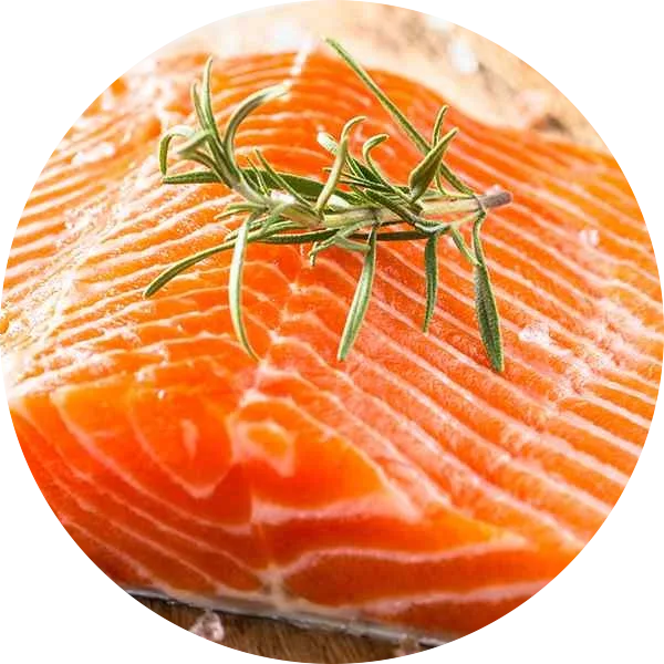 salmon image