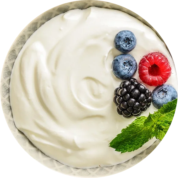 plain low fat yogurt image