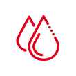  Blood formation 