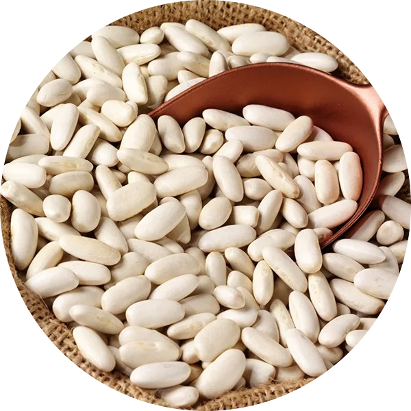 white beans image
