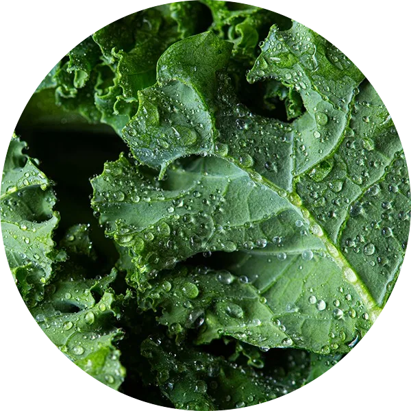 green kale