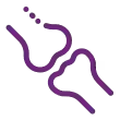Icon Bone Health