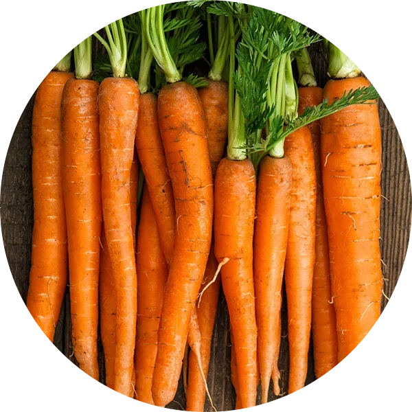 orange carrots