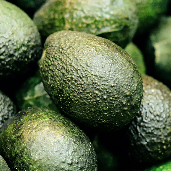 avocados image