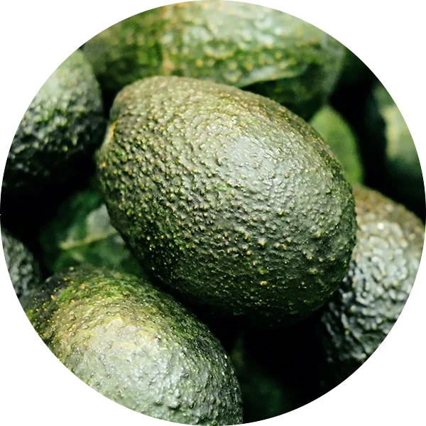 avocados image