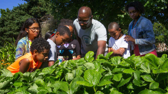 Fruit Science Summer Camp links city kids with the land and each other